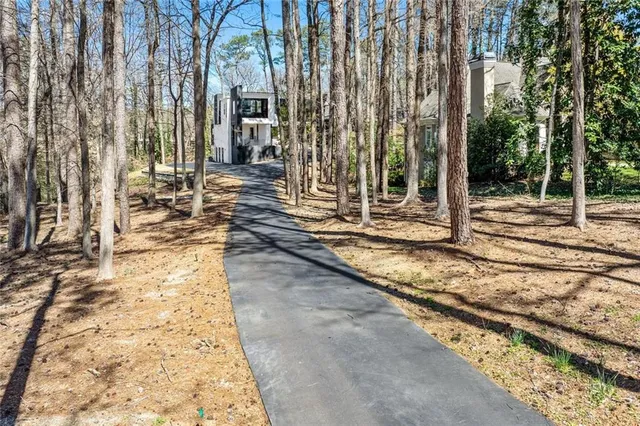 a view of a backyard with trees