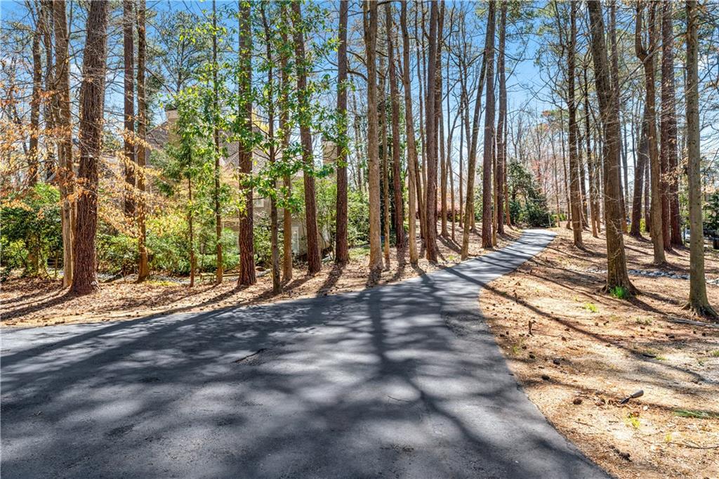 1355 Moores Mill Road Northwest Atlanta, GA 30327 - Photo 43 of 45 a view of a backyard with trees