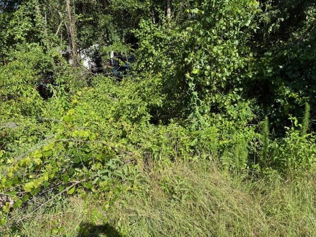 0 Goodes Creek Church Road Mooresboro, NC 28114 - Photo 3 of 3