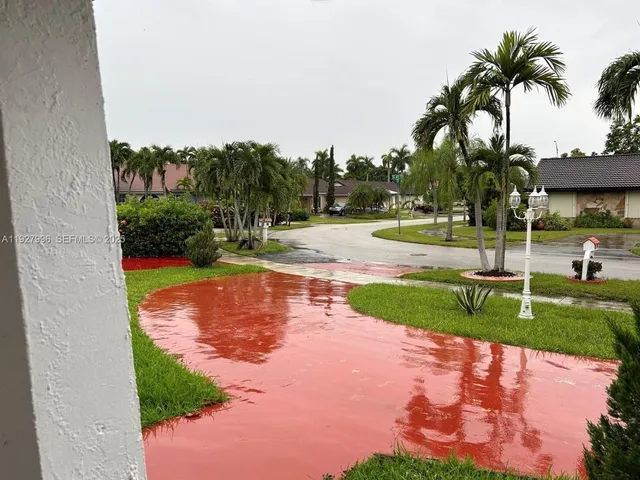 a view of a backyard