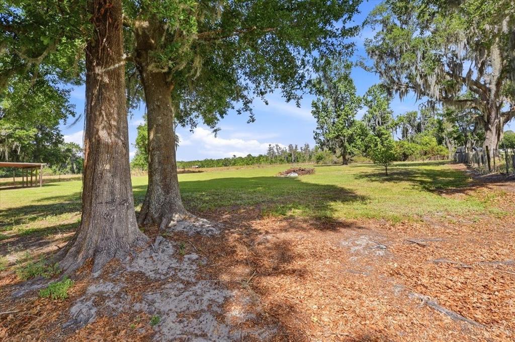 4205 North Combee Road Lakeland, FL 33805 - Photo 40 of 52