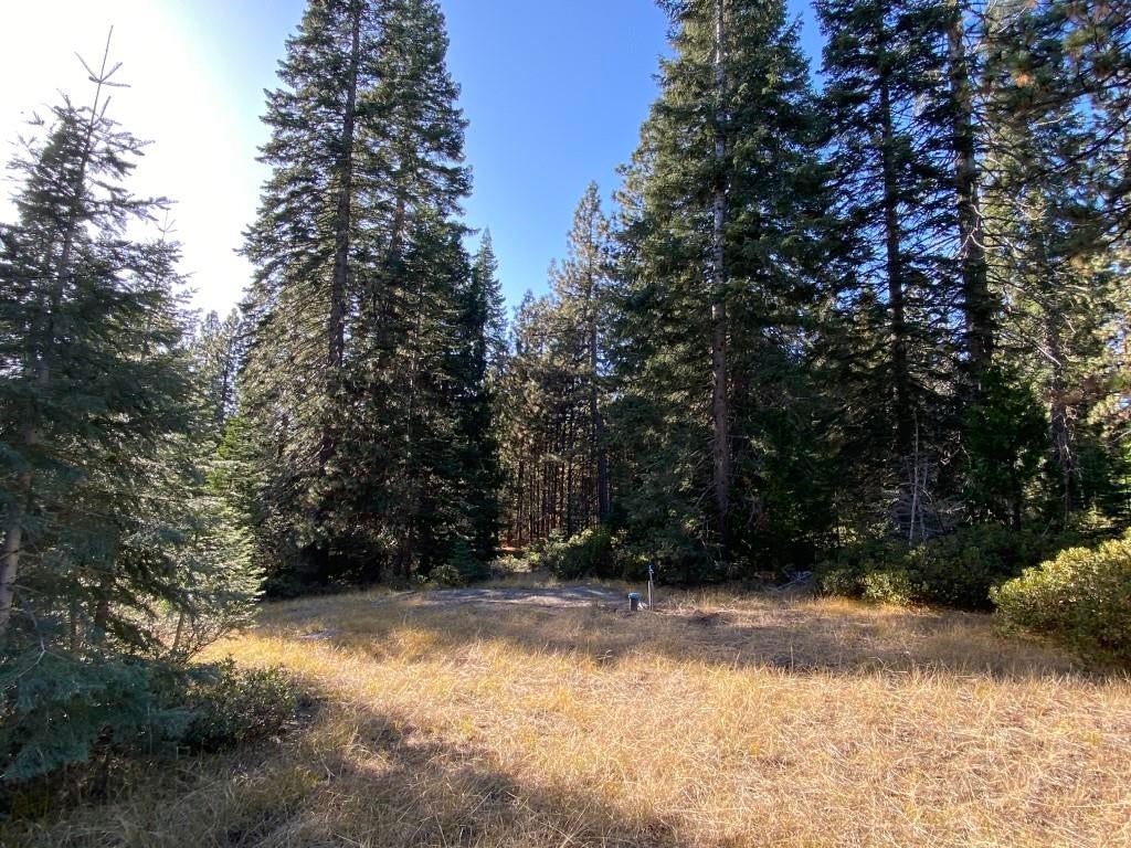 3-e-41 Red Fir Road McCloud, CA 96057 - Photo 14 of 38 Gallery Image 14