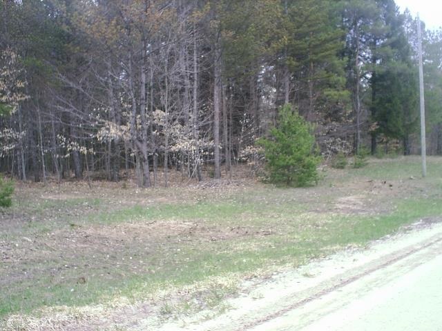 303 East Simpson Road Mancelona, MI 49659 - Photo 3 of 8 1781873-2.JPG