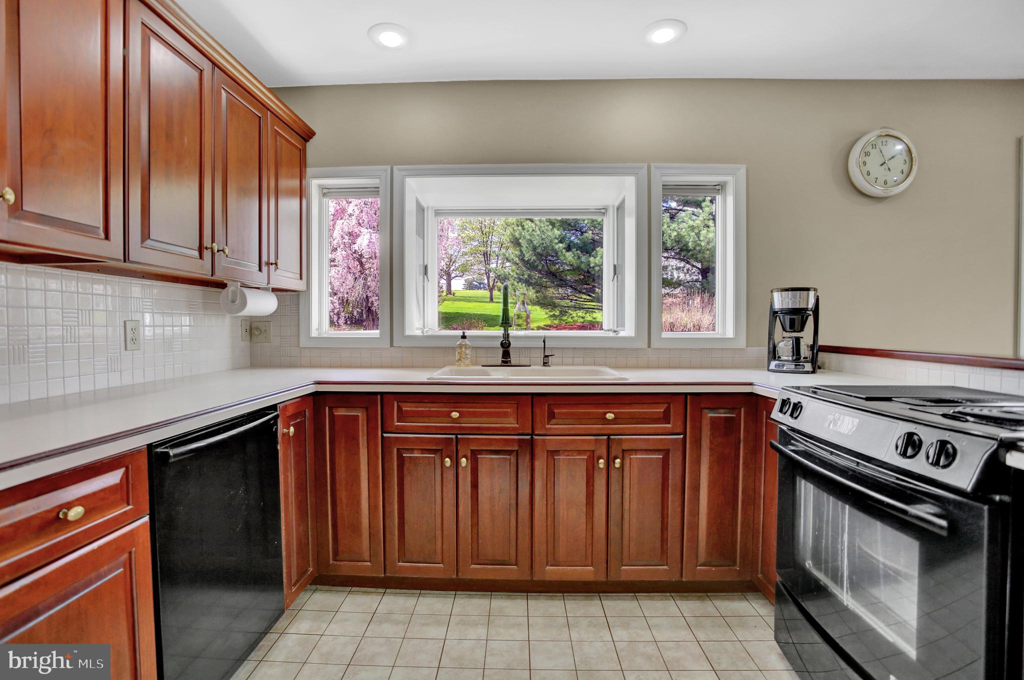 12 Strawberry Lane Lititz, PA 17543 - Photo 15 of 43 Kitchen