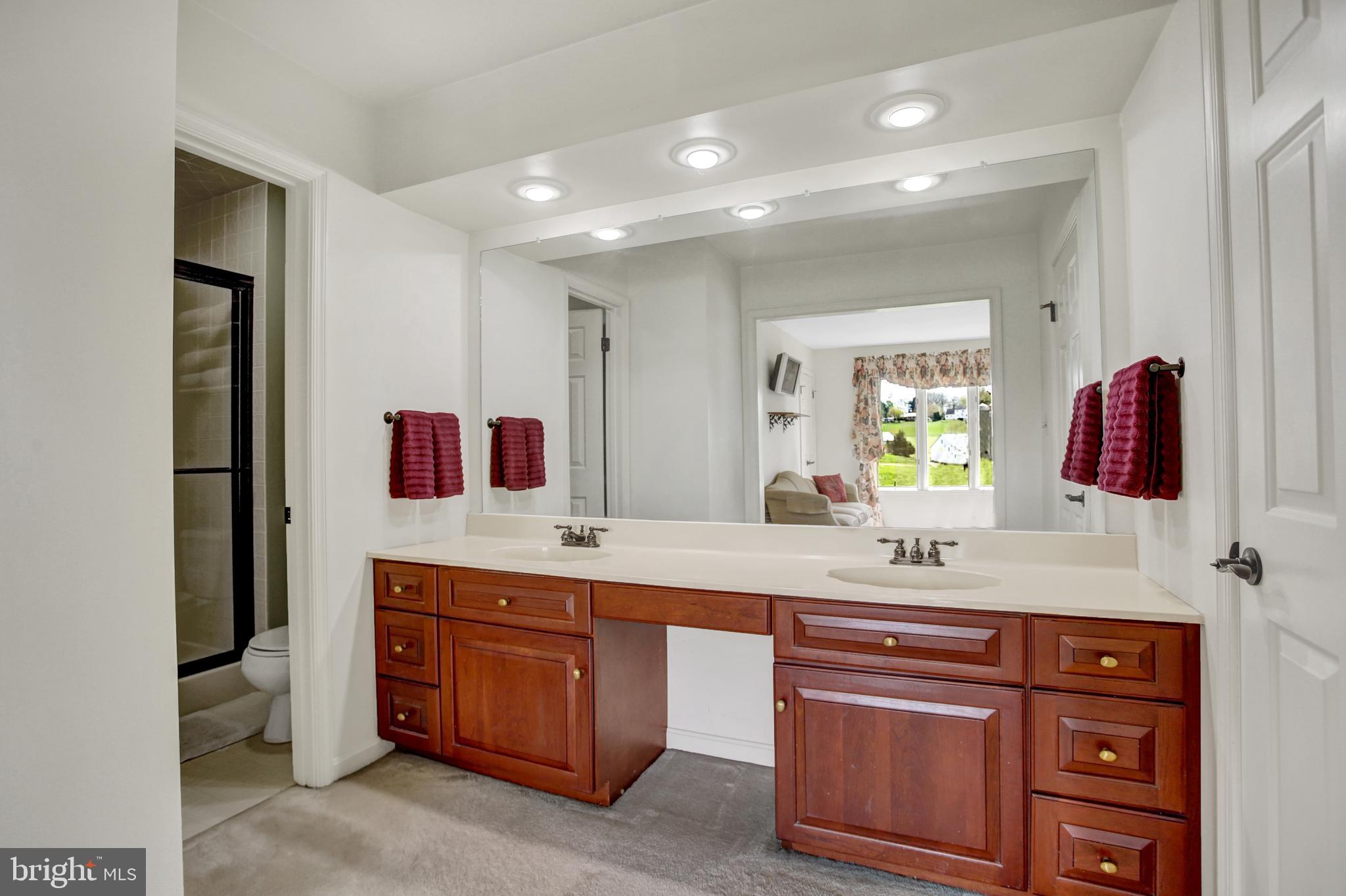 12 Strawberry Lane Lititz, PA 17543 - Photo 35 of 43 Primary Bathroom