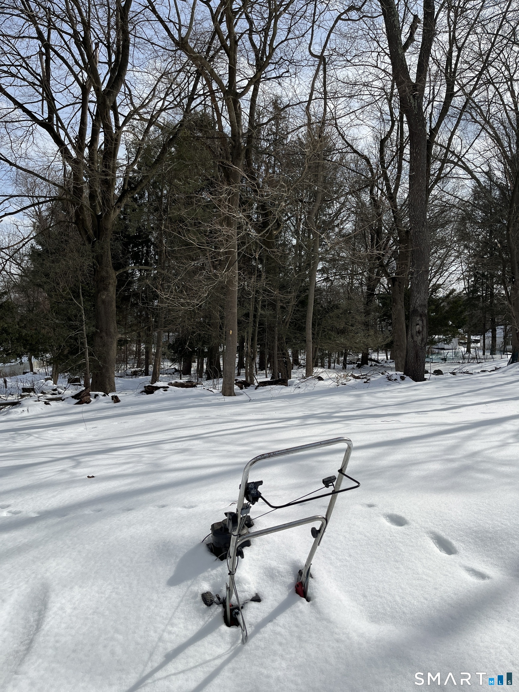 54 Ridgedale Road Fairfield, CT 06824 - Photo 2 of 3 a view of a yard with large trees