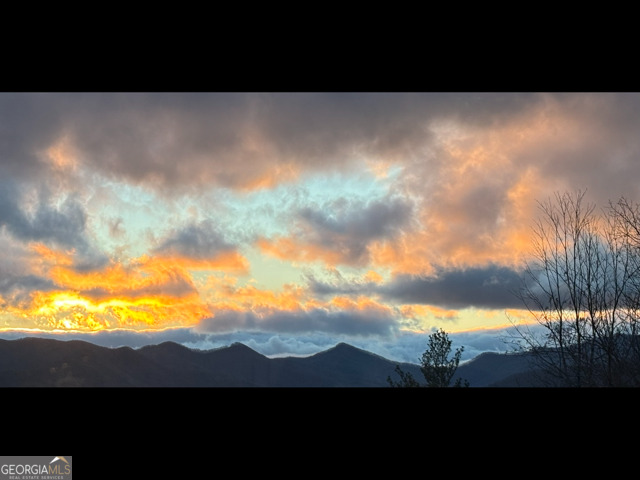 58 Buttons Lane Dillard, GA 30537 - Photo 69 of 77