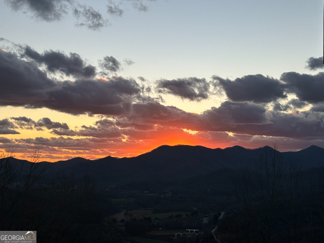 58 Buttons Lane Dillard, GA 30537 - Photo 74 of 77