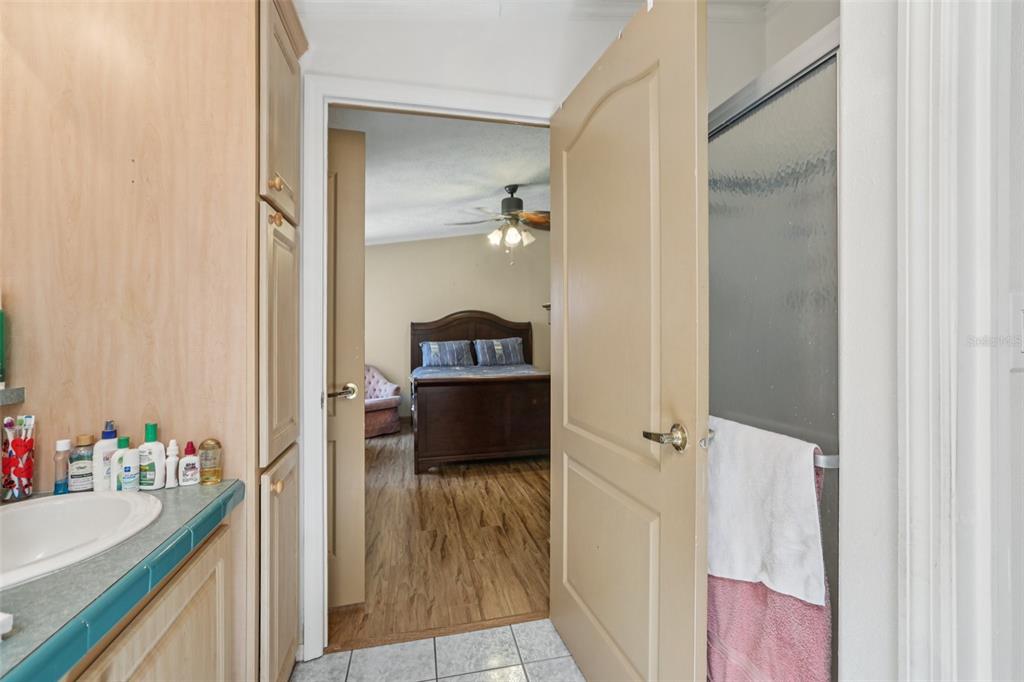 29235 Bayhead Road Dade City, FL 33523 - Photo 16 of 71 a bathroom with a sink and a mirror