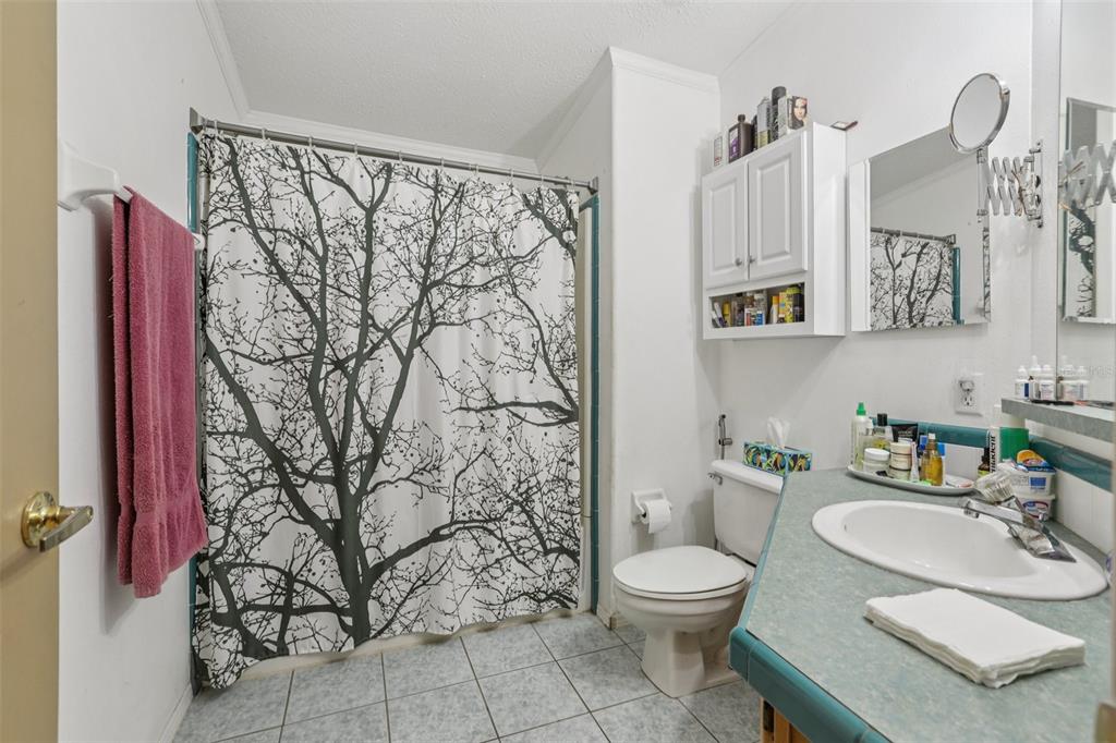 29235 Bayhead Road Dade City, FL 33523 - Photo 20 of 71 a bathroom with a granite countertop sink a toilet and a mirror