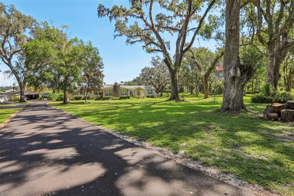 29235 Bayhead Road Dade City, FL 33523 - Photo 3 of 71 a view of a park with large trees