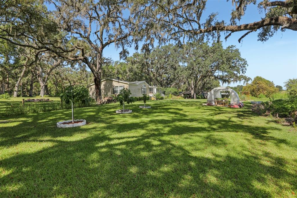 29235 Bayhead Road Dade City, FL 33523 - Photo 47 of 71