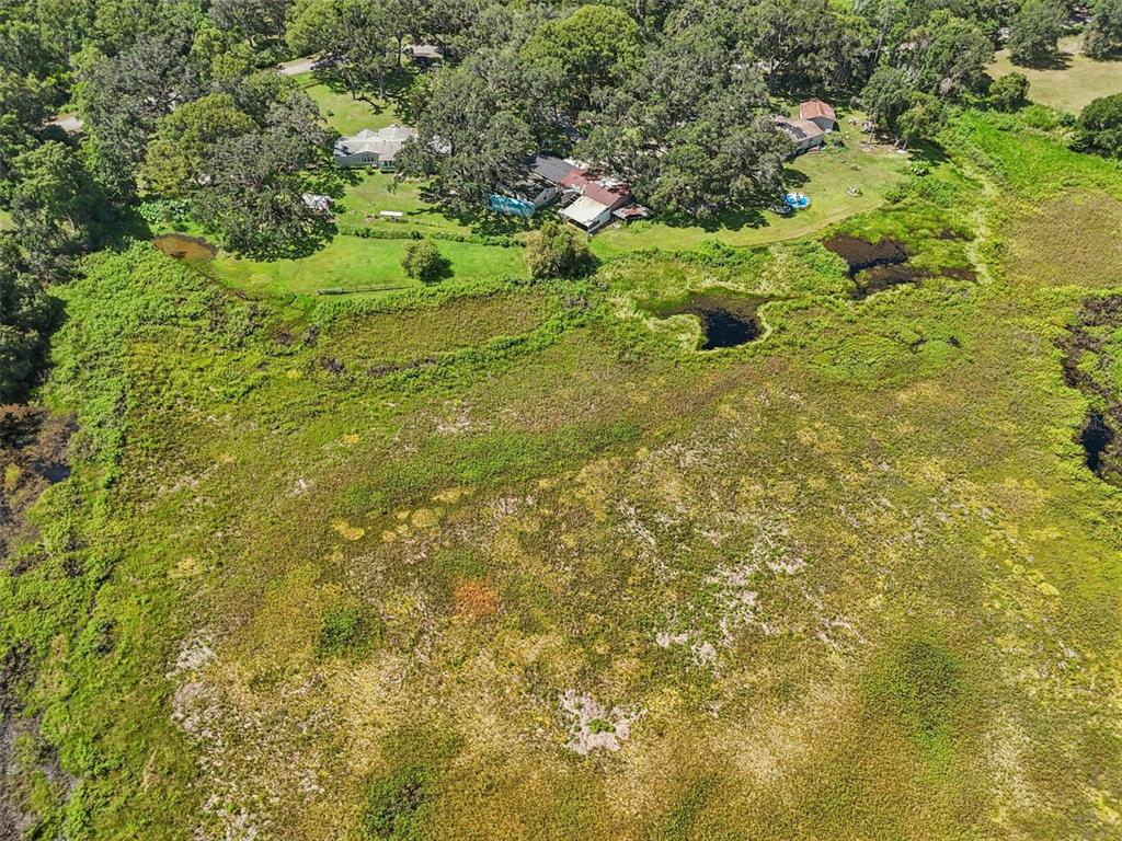 29235 Bayhead Road Dade City, FL 33523 - Photo 62 of 71