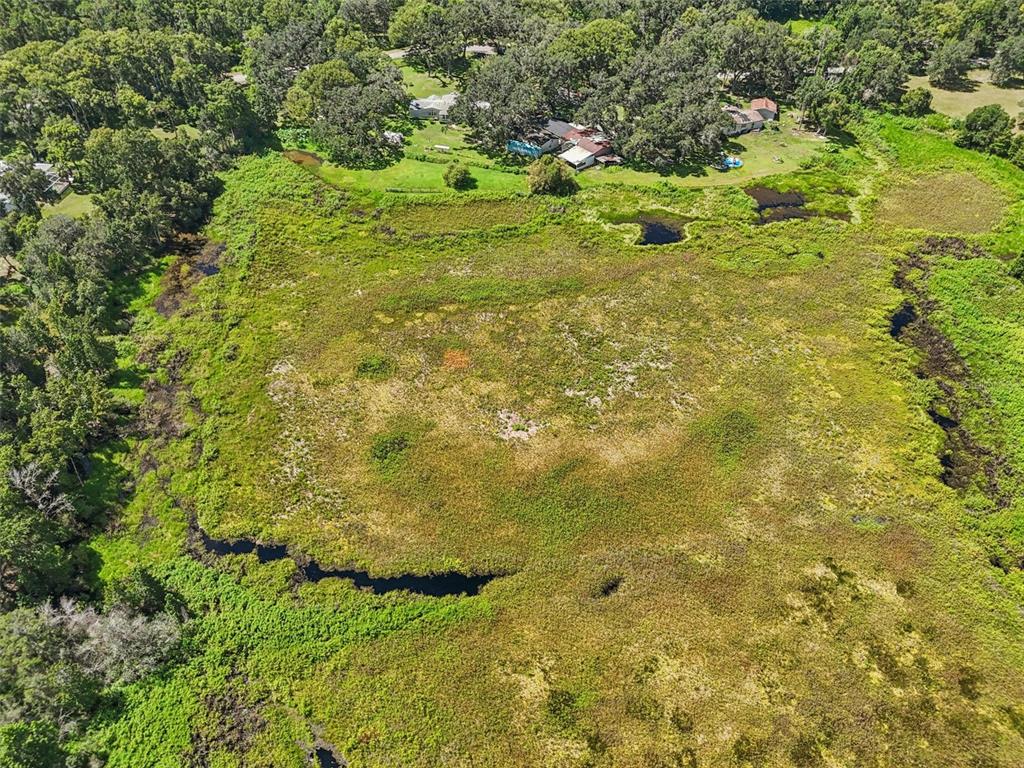 29235 Bayhead Road Dade City, FL 33523 - Photo 64 of 71 a view of a big yard with plants and large trees