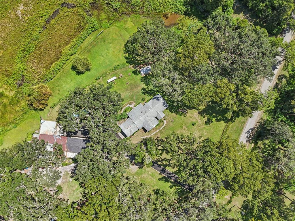 29235 Bayhead Road Dade City, FL 33523 - Photo 66 of 71 a backyard of a house with a yard and large trees