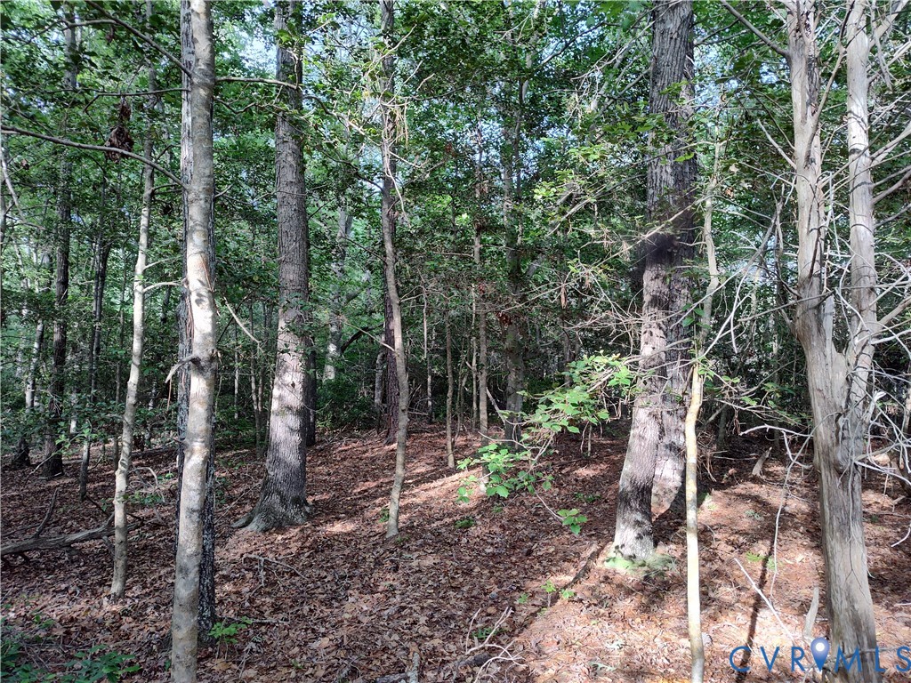 108.5-ac Buzzards Neck Road Lancaster, VA 22503 - Photo 23 of 50