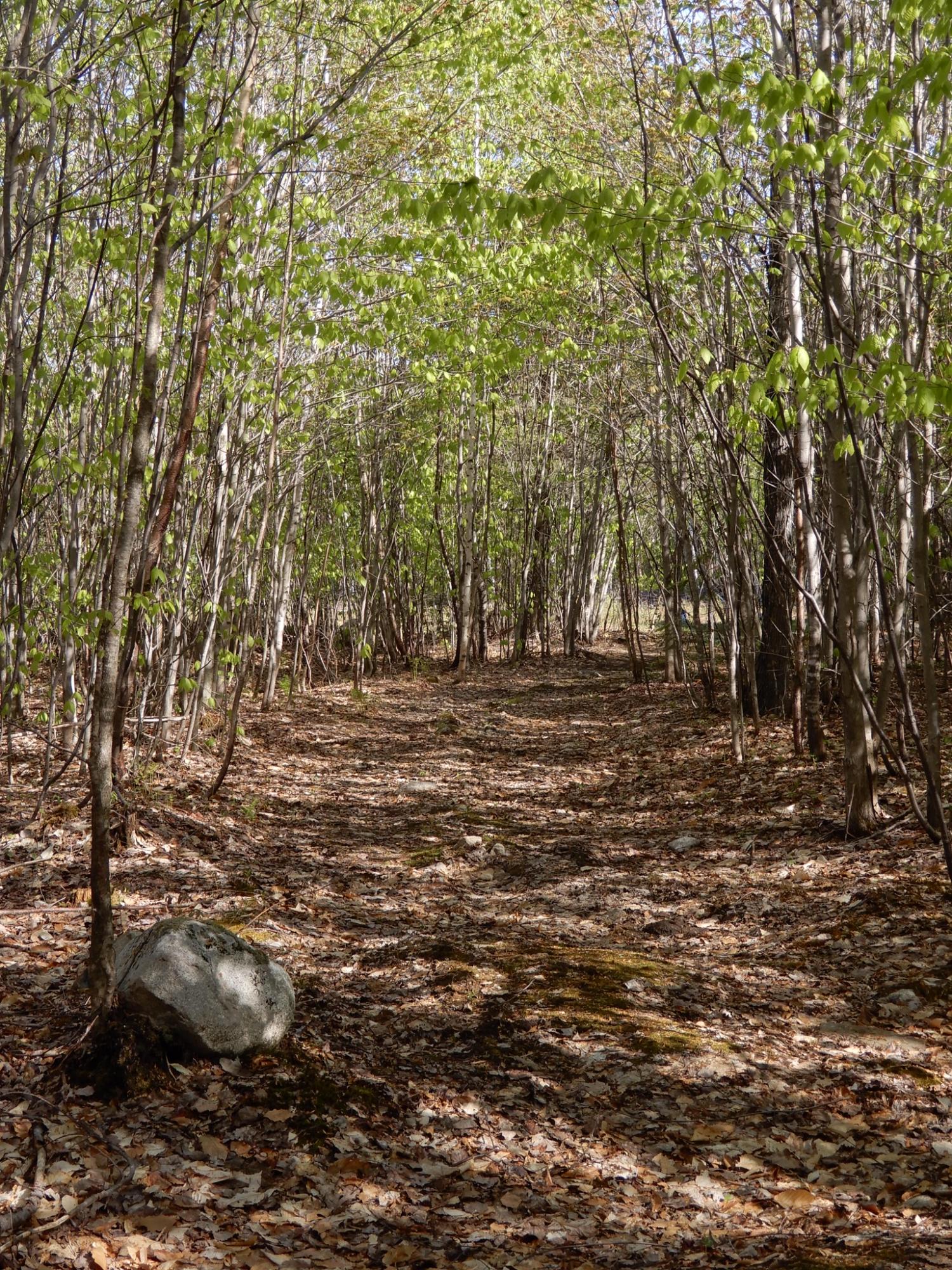 2 Pine Bluff Road Embden, ME 04958 - Photo 24 of 36 image00002