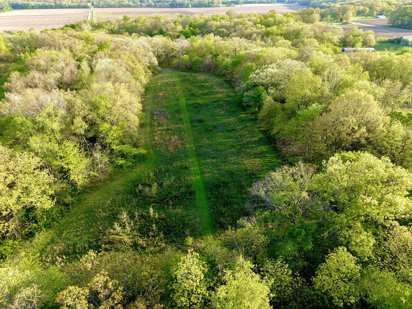 0 North 1900th Street Mount Carmel, IL 62863 - Photo 39 of 50 a view of a field