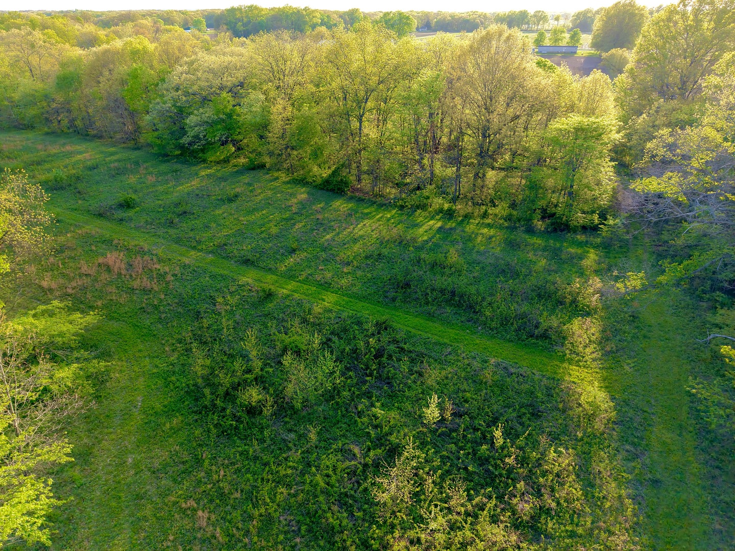 0 North 1900th Street Mount Carmel, IL 62863 - Photo 40 of 50 a view of a lush green forest with trees in the background