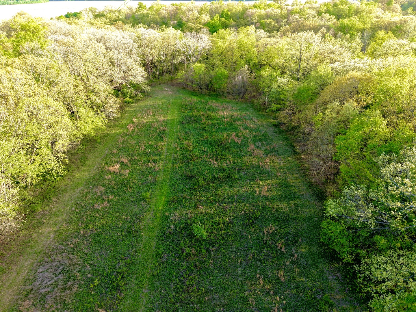 0 North 1900th Street Mount Carmel, IL 62863 - Photo 41 of 50 a view of a green field