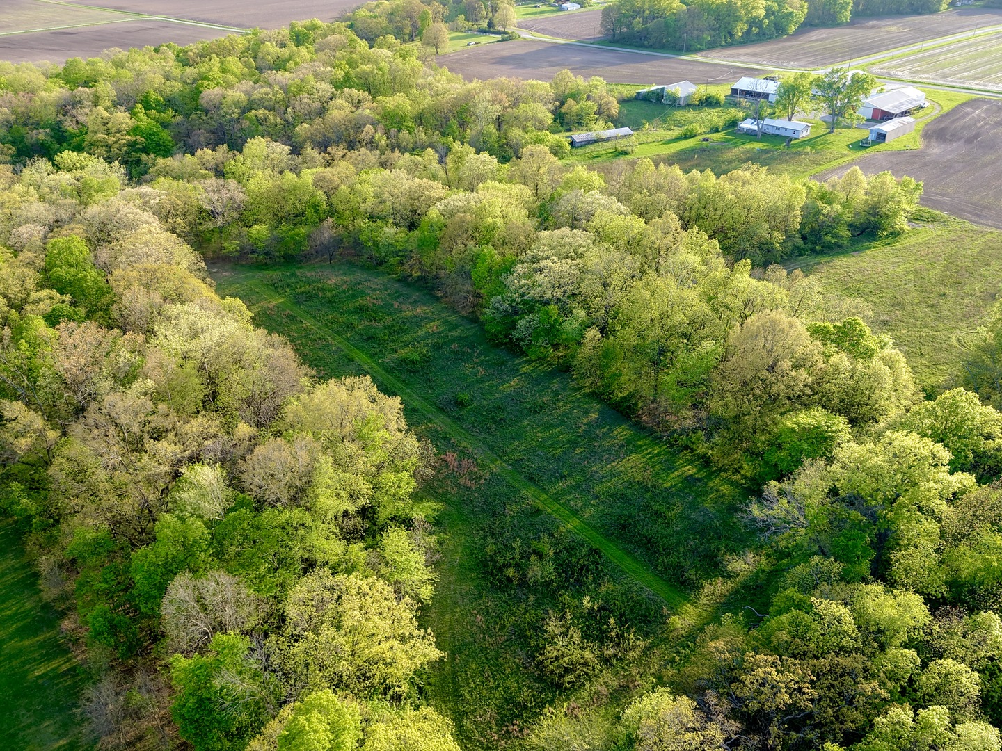 0 North 1900th Street Mount Carmel, IL 62863 - Photo 6 of 50 a view of a garden
