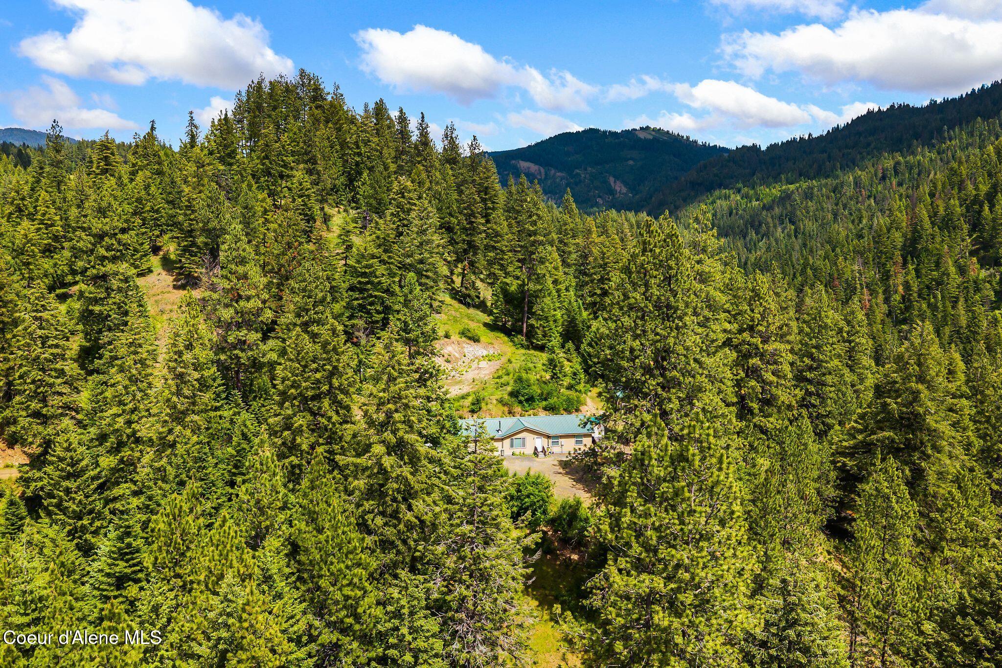 4304 South Elk Road Harrison, ID 83833 - Photo 31 of 39 37_DJI_20260604133839_0252_D
