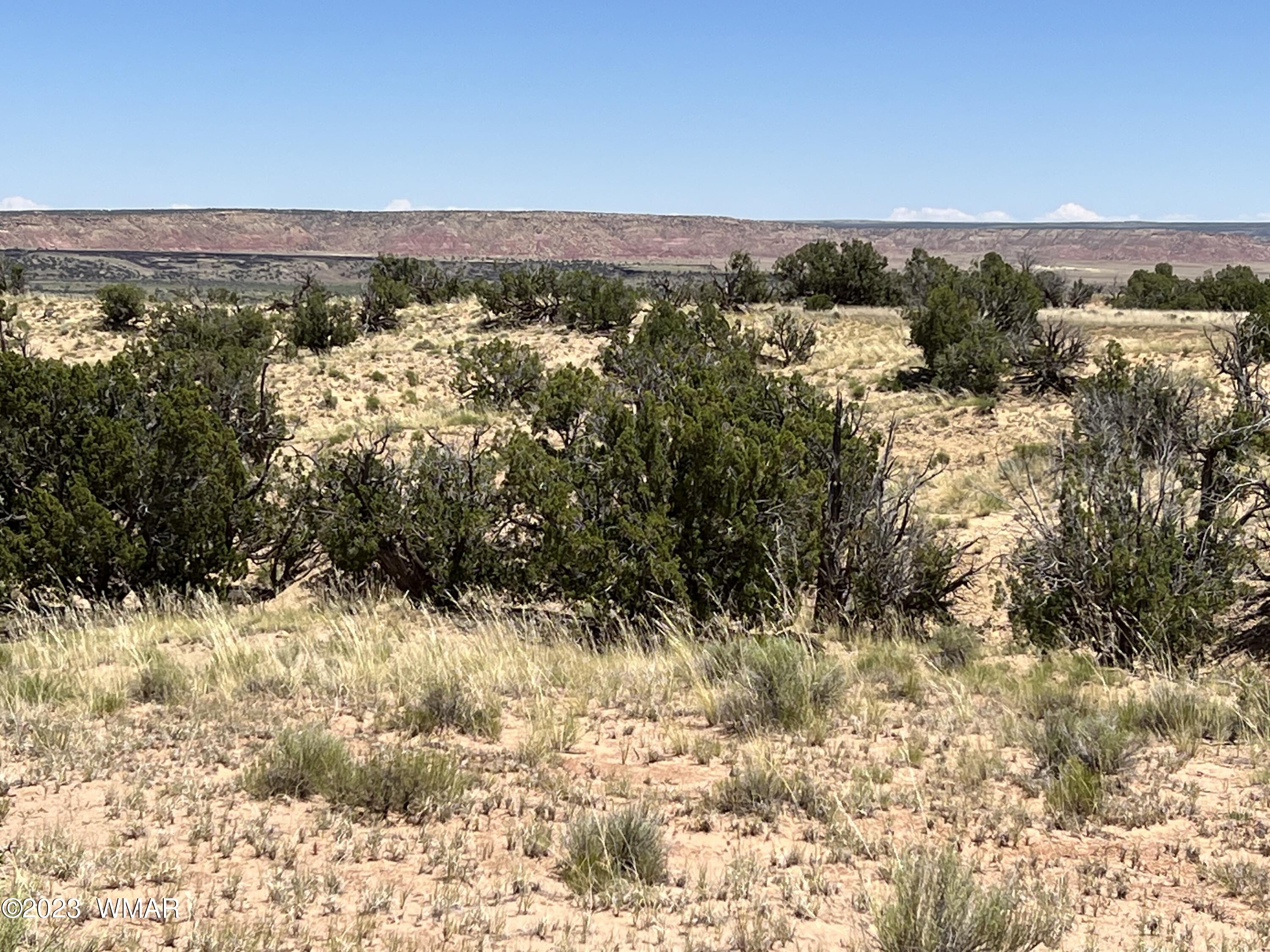 76 County Road St. Johns, AZ 85936 - Photo 20 of 35