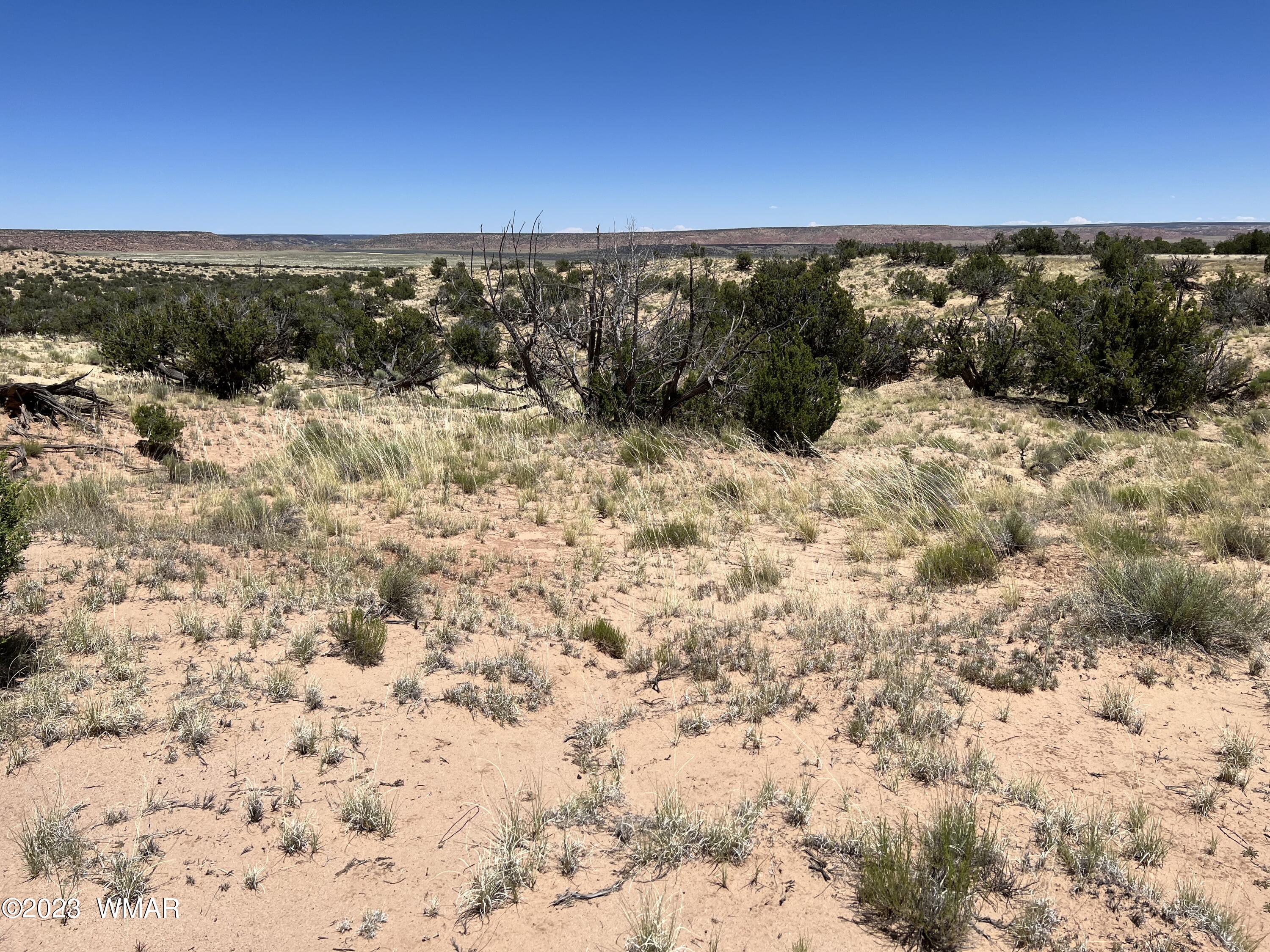 76 County Road St. Johns, AZ 85936 - Photo 21 of 35