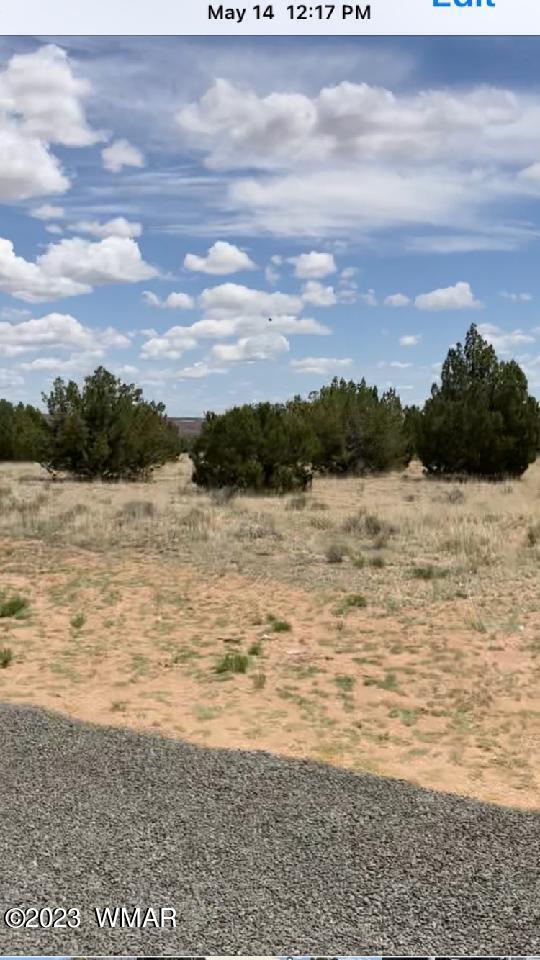 76 County Road St. Johns, AZ 85936 - Photo 25 of 35