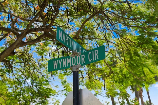 a view of a tree with a tree