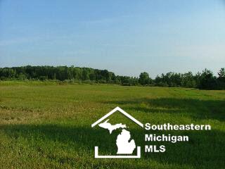 12006 Jackman Road Temperance, MI 48182 - Photo 10 of 33 592751-9.JPG