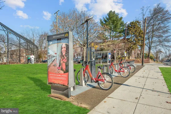 a view of a park with large trees