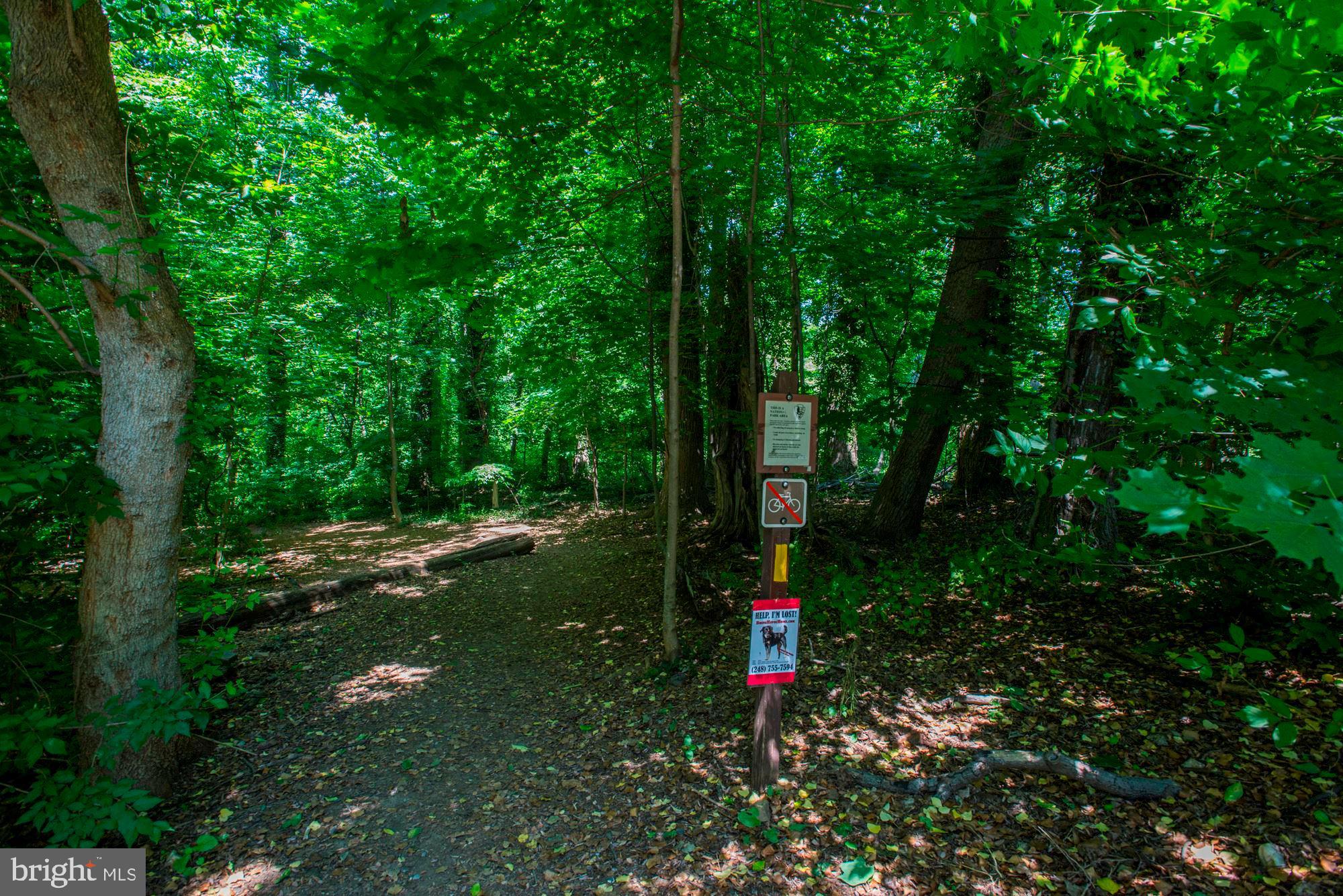 3900 Tunlaw Road Northwest, Unit 103 Washington, DC 20007 - Photo 33 of 41 a view of a park with large trees