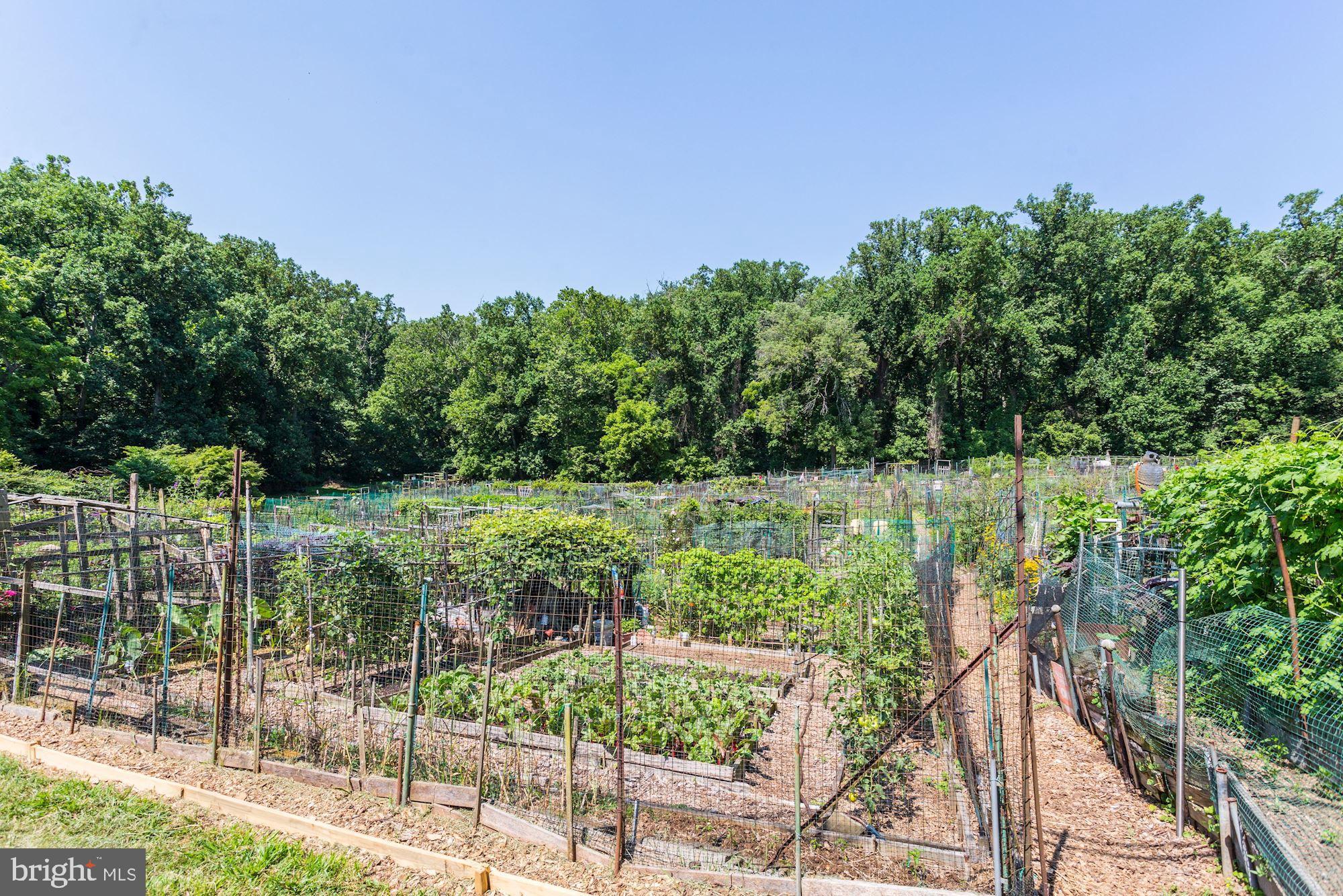 3900 Tunlaw Road Northwest, Unit 103 Washington, DC 20007 - Photo 34 of 41 a view of a backyard