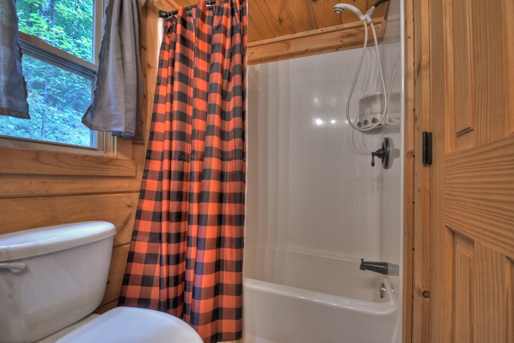 163 Chestnut Ridge Circle Blue Ridge, GA 30513 - Photo 26 of 36 Gallery Image 26