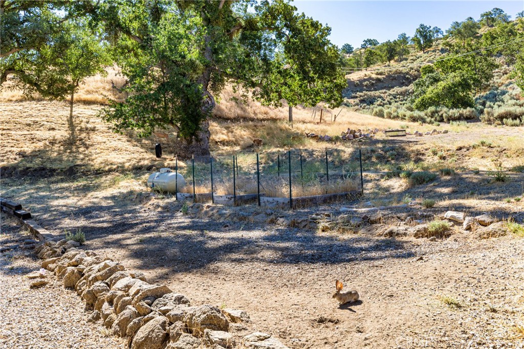 17500 High Gun Drive Tehachapi, CA 93561 - Photo 44 of 46 a view of a yard with large trees