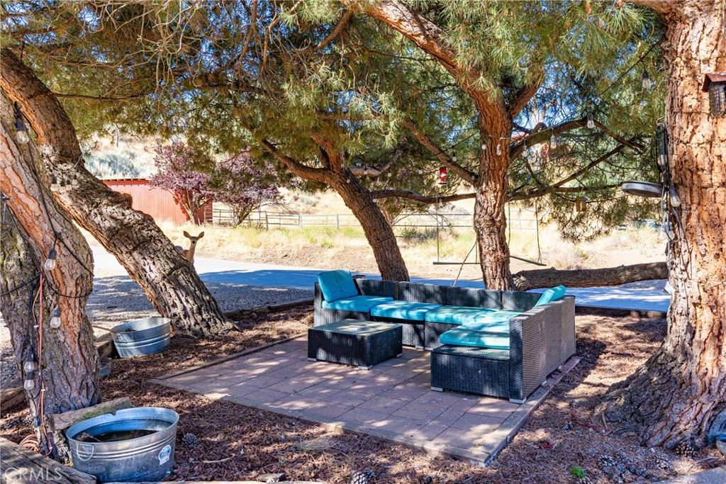 17500 High Gun Drive Tehachapi, CA 93561 - Photo 10 of 46 a view of a backyard with potted plants and large trees