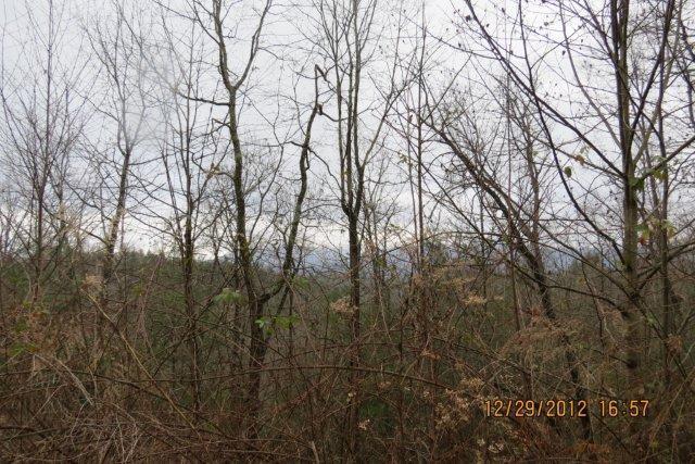 0 Sunset Ridge, Unit 3 Ellijay, GA 30540 - Photo 1 of 1