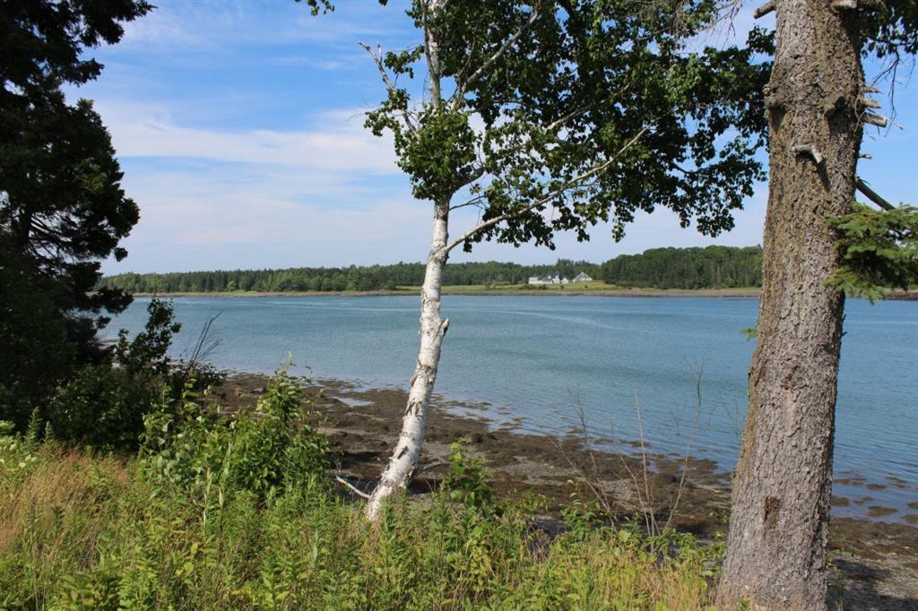 240 Leighton Point Road Pembroke, ME 04666 - Photo 29 of 29 West back shore view