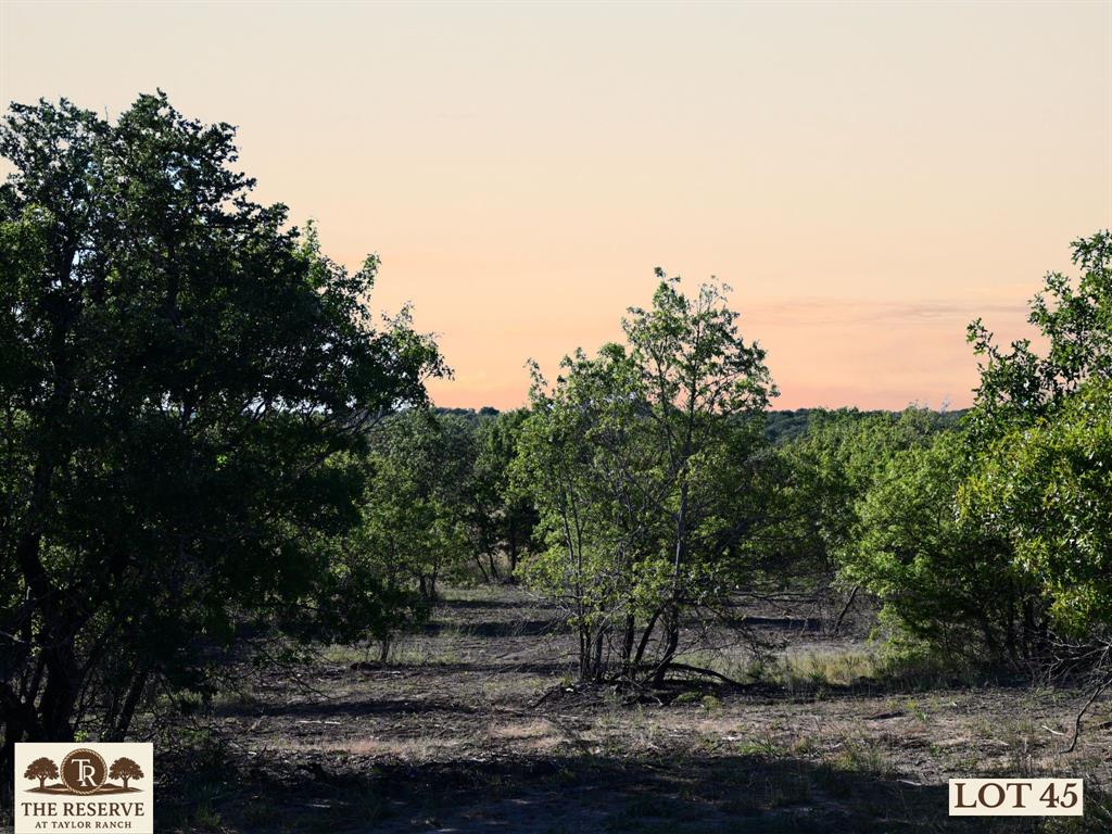 Lot 45 Colt Road Springtown, TX 76082 - Photo 2 of 15 a view of a park with large trees