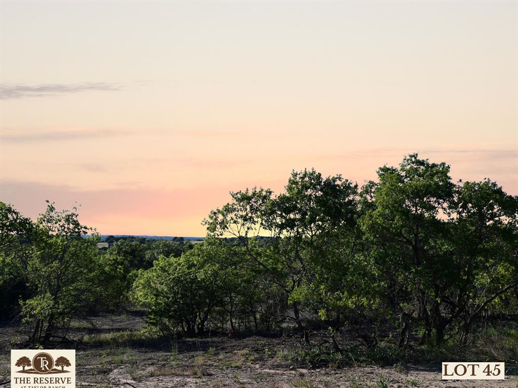 Lot 45 Colt Road Springtown, TX 76082 - Photo 3 of 15 a view of a street with a trees