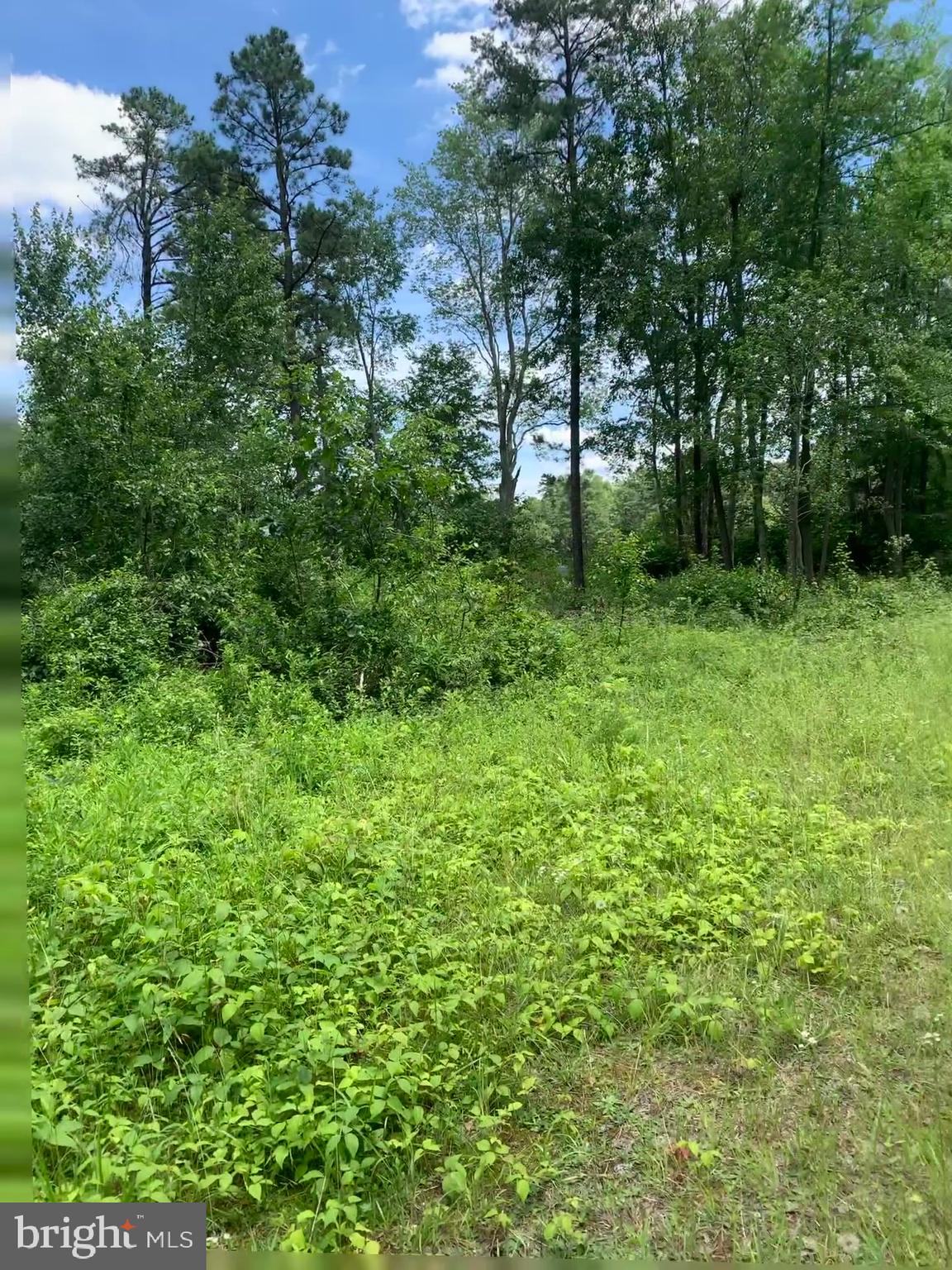 Pine Avenue Williamstown, NJ 08094 - Photo 3 of 8