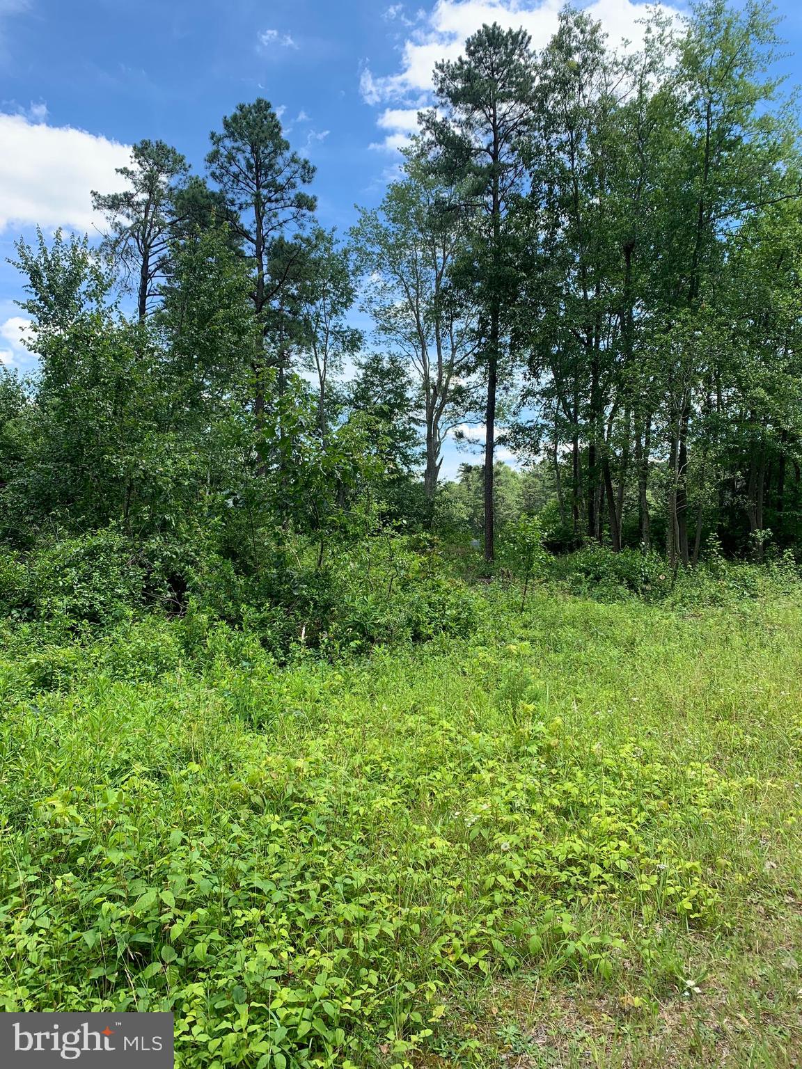 Pine Avenue Williamstown, NJ 08094 - Photo 4 of 8