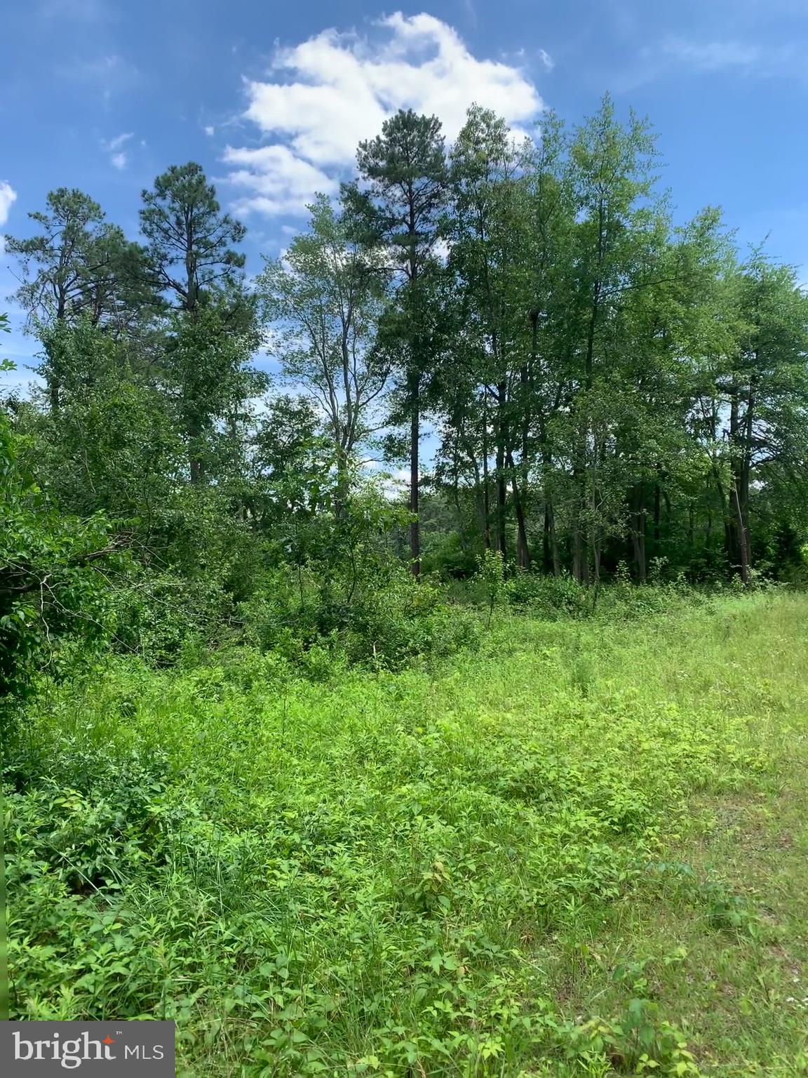 Pine Avenue Williamstown, NJ 08094 - Photo 5 of 8