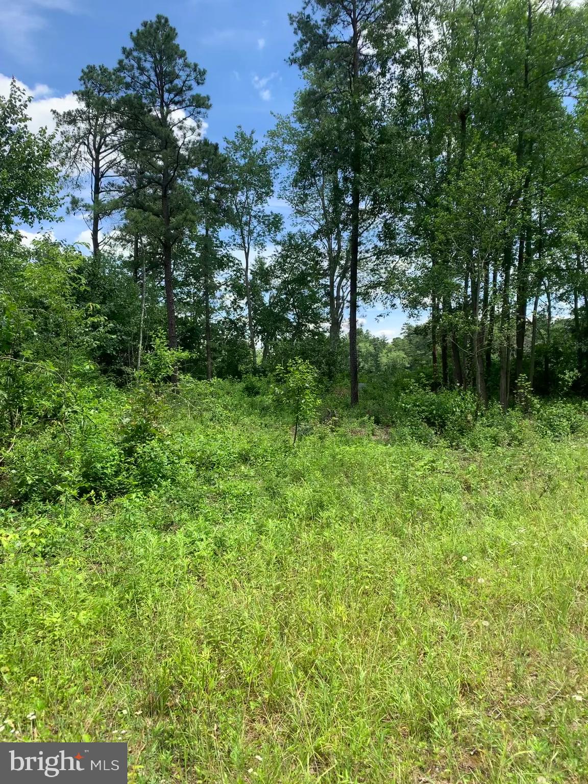 Pine Avenue Williamstown, NJ 08094 - Photo 7 of 8