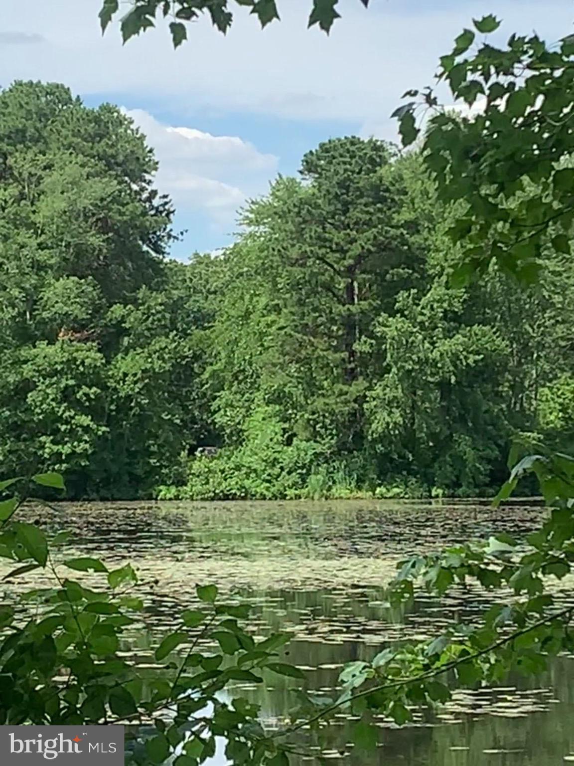 Pine Avenue Williamstown, NJ 08094 - Photo 8 of 8