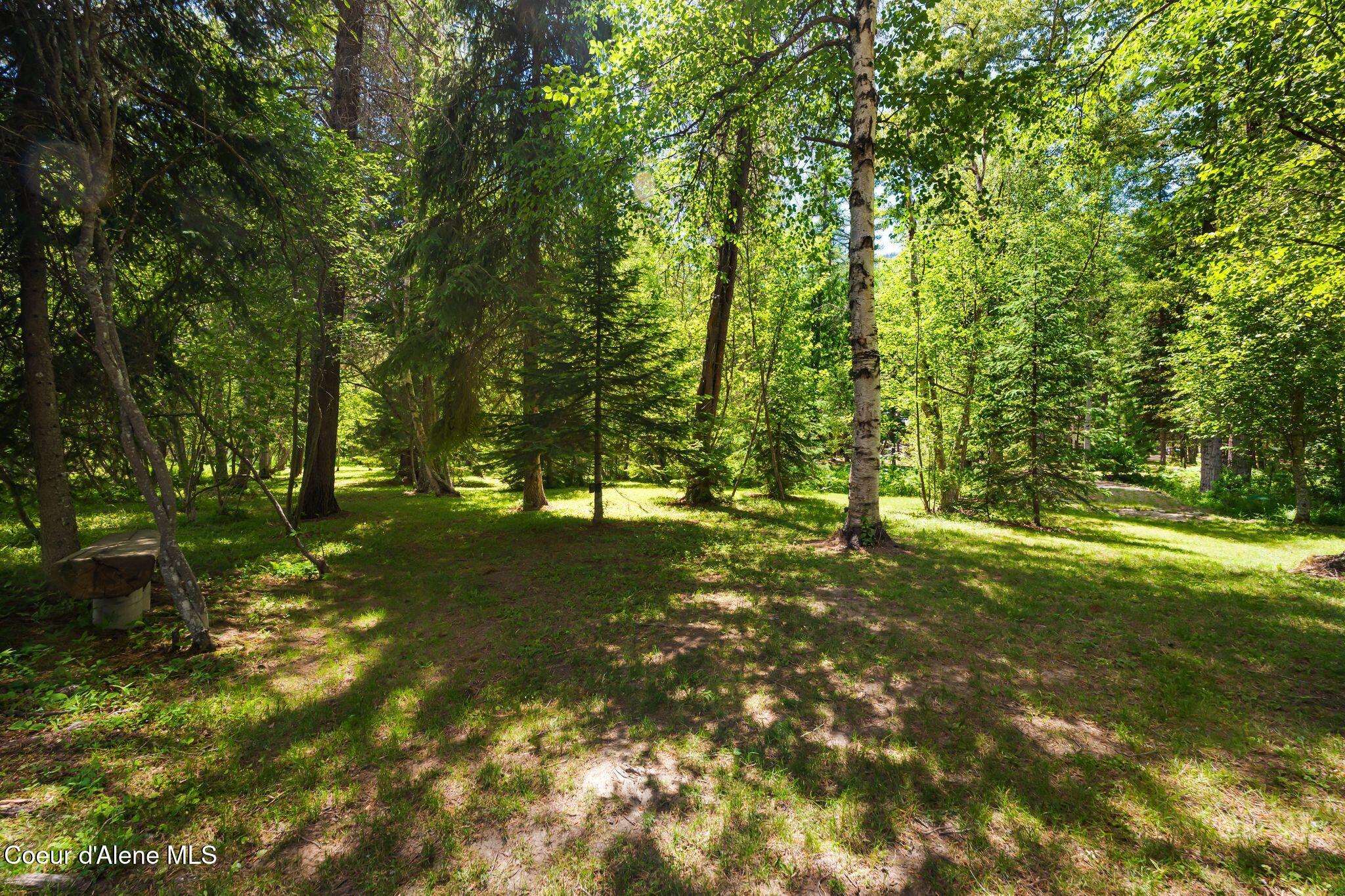 163 Bussard Lake Road Bonners Ferry, ID 83805 - Photo 51 of 56 51_A7402112