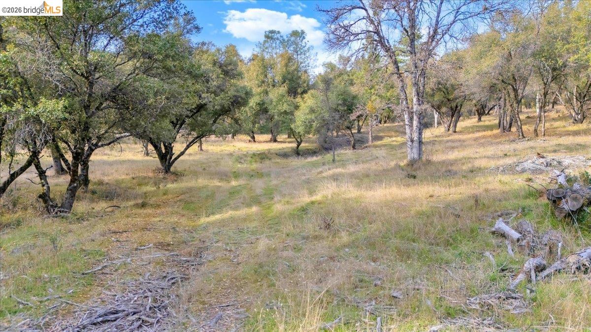 0 Montgomery Road Sonora, CA 95370 - Photo 5 of 31 Gallery Image 5