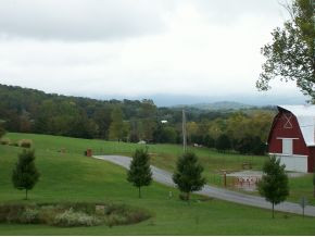 2315 Holly Creek Road Greeneville, TN 37745 - Photo 19 of 20 Photo 19