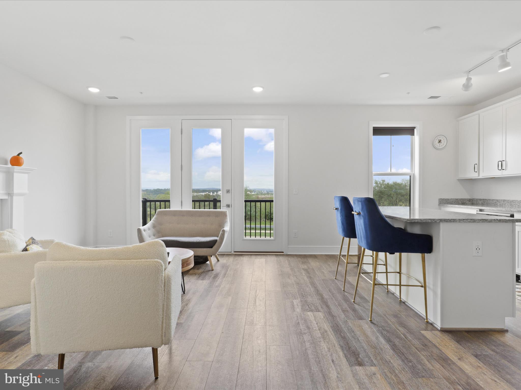 20789 Lamlash Terrace Ashburn, VA 20147 - Photo 11 of 46